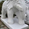 Tượng voi đá trắng nguyên khối cao 1m T365